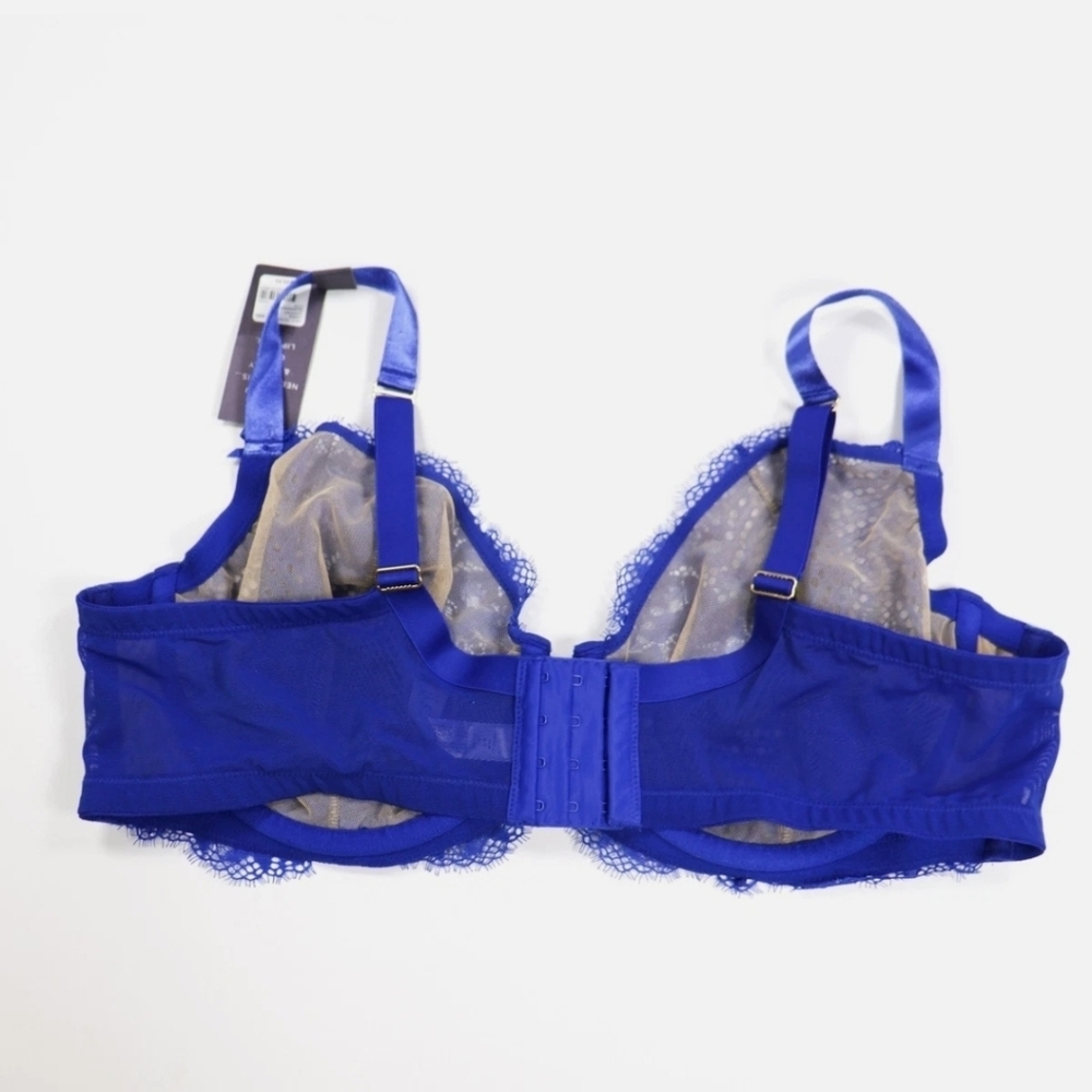 Cacique Lane Bryant Blue Lace Bra And Thong - Picture 2 of 6